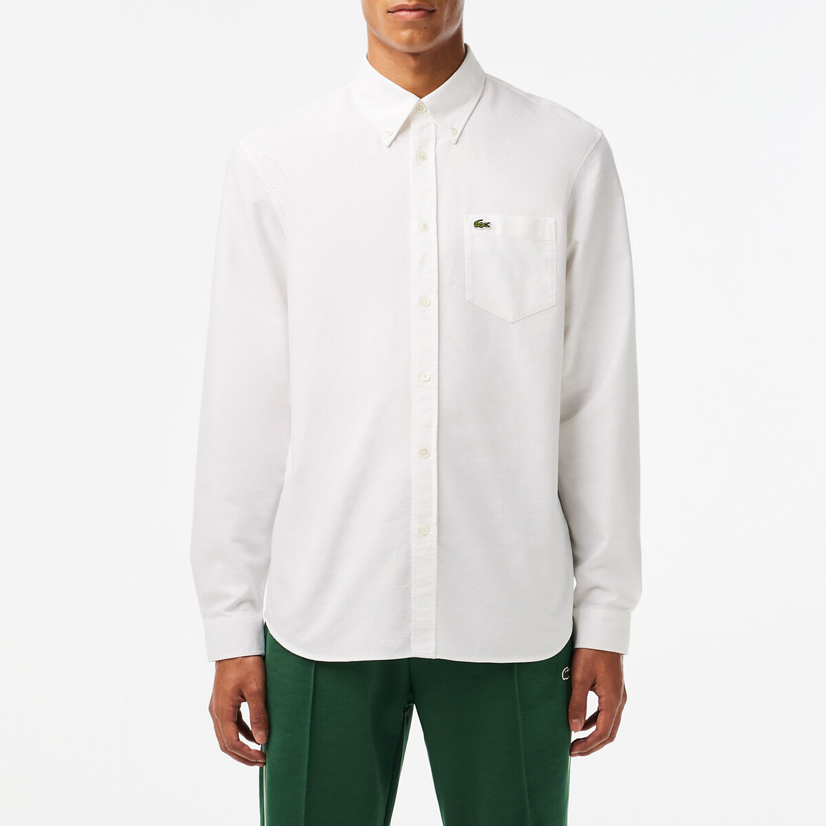 Embroidered Logo Oxford Shirt in Cotton with Long Sleeves, LACOSTE
