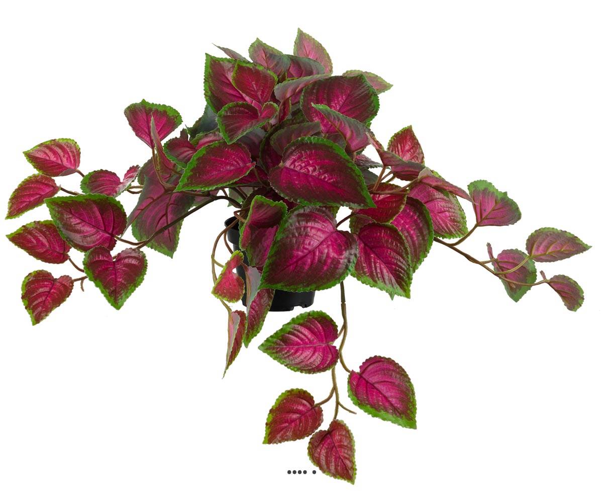 Coleus factice en pot de type rampant coloré, ARTIFICIELLES
