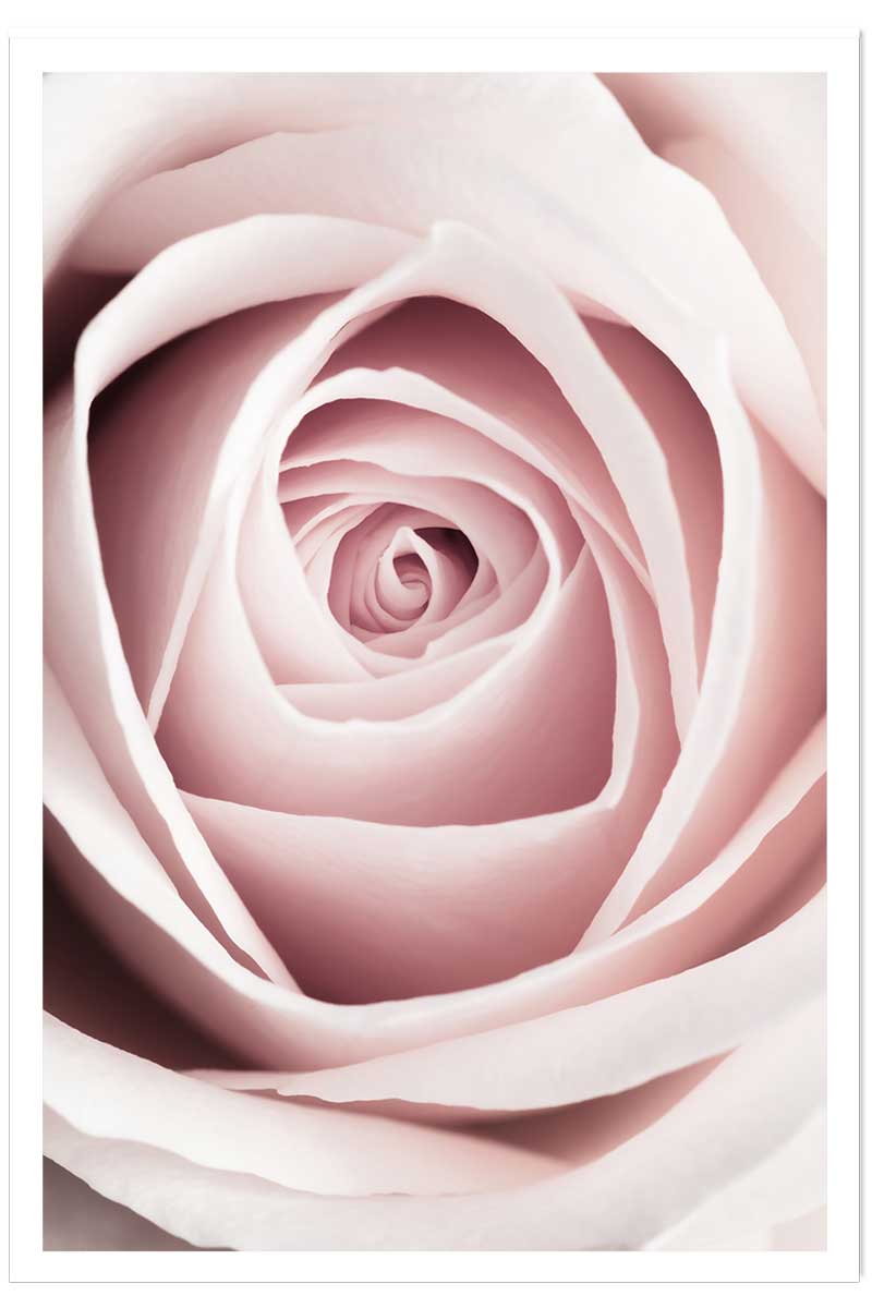 Affiche coeur de roses, HEXOA