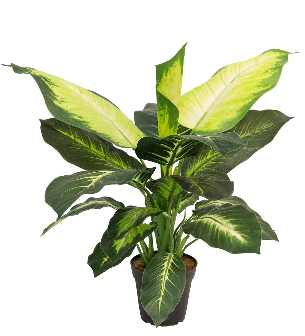 Dieffenbachia artificiel H 60 cm, grandes fe, ARTIFICIELLES