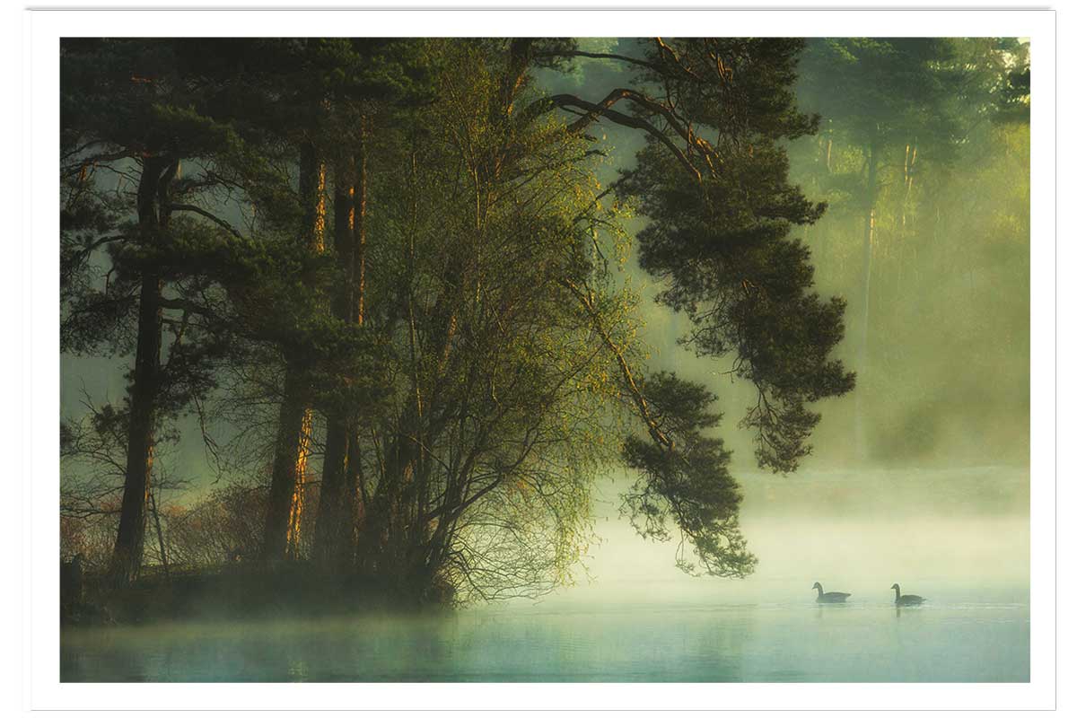 Affiche paysage marais neerlandais, HEXOA