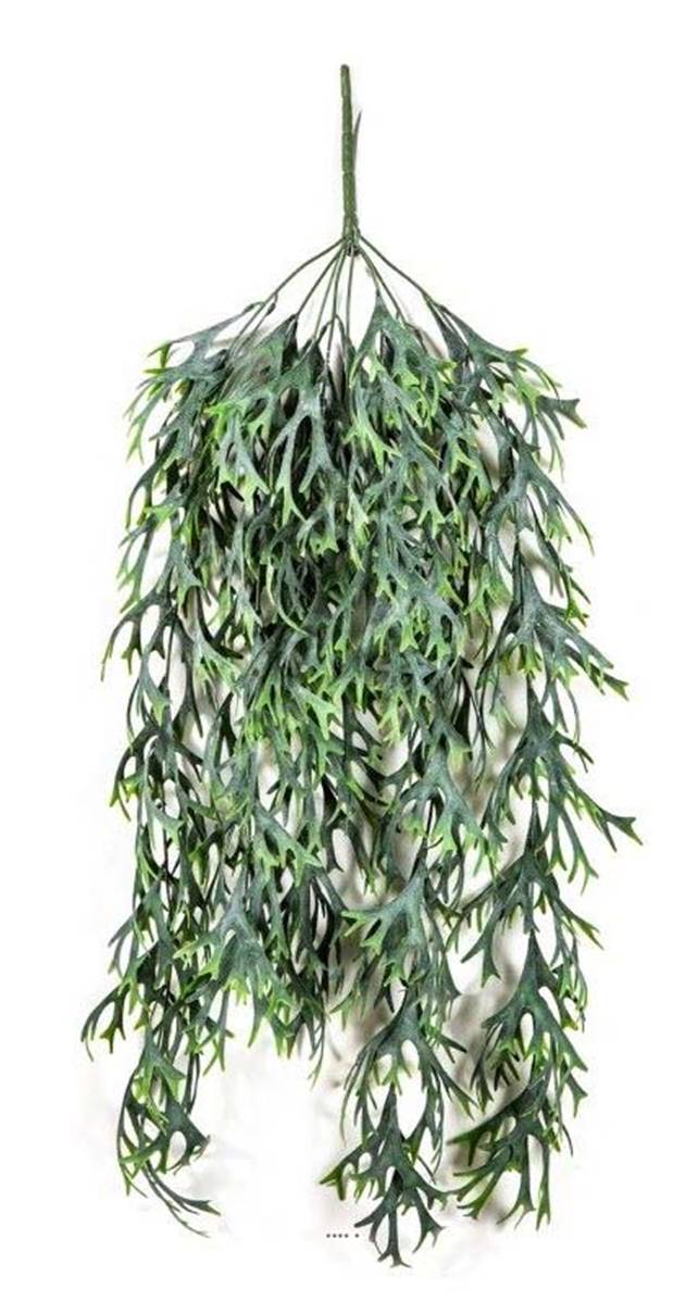 Chute de staghorn artificiel L 80 cm, ARTIFICIELLES