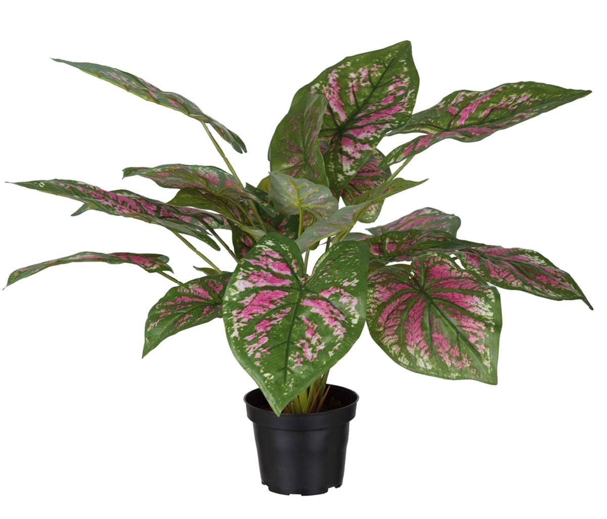 Caladium artificiel en pot H 40 cm D 50 cm, ARTIFICIELLES