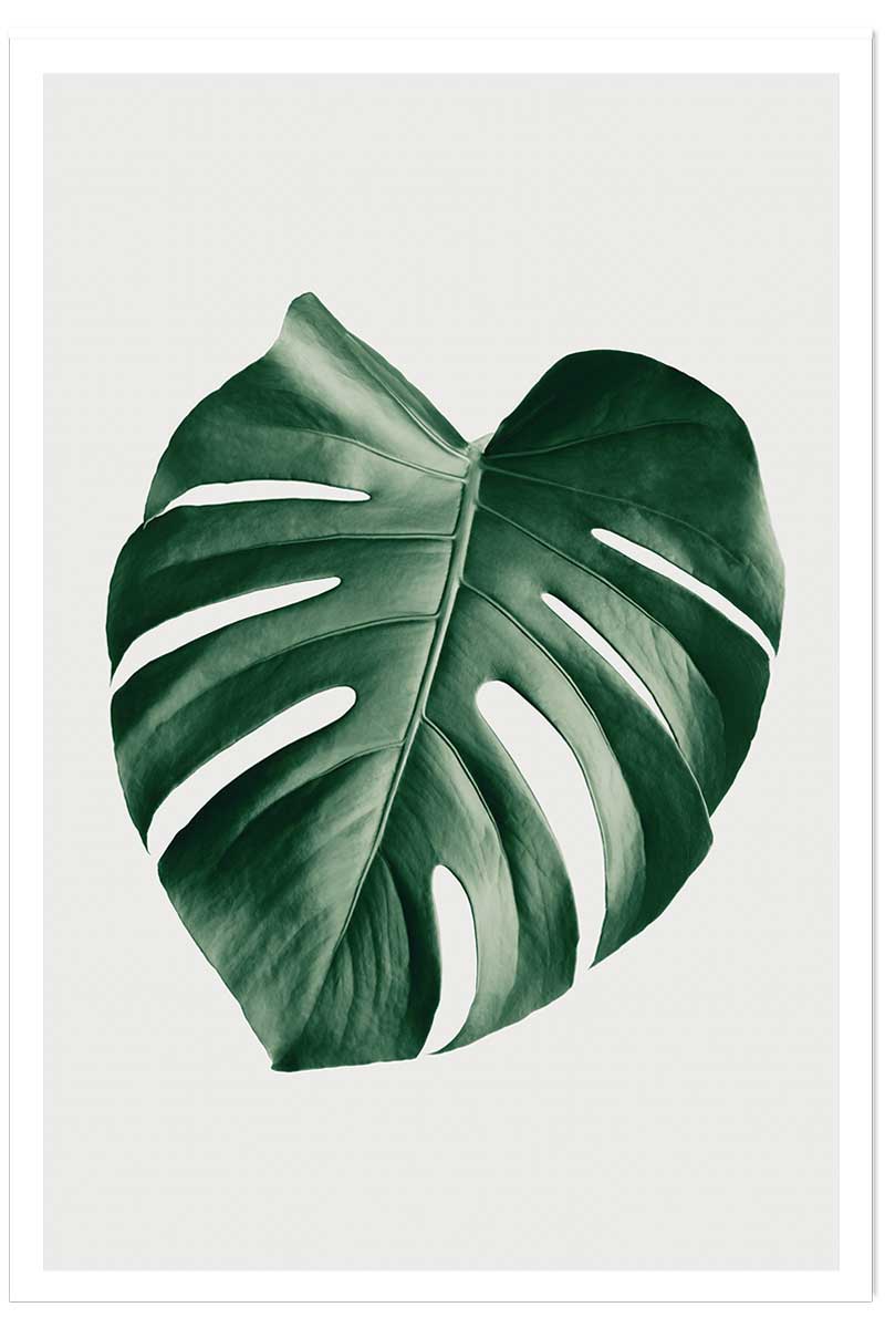 Affiche monstera perfect, HEXOA