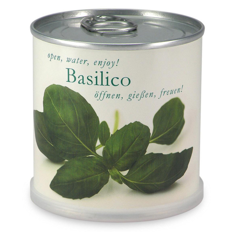 Basilic à faire pousser en boite, MAC FLOWERS