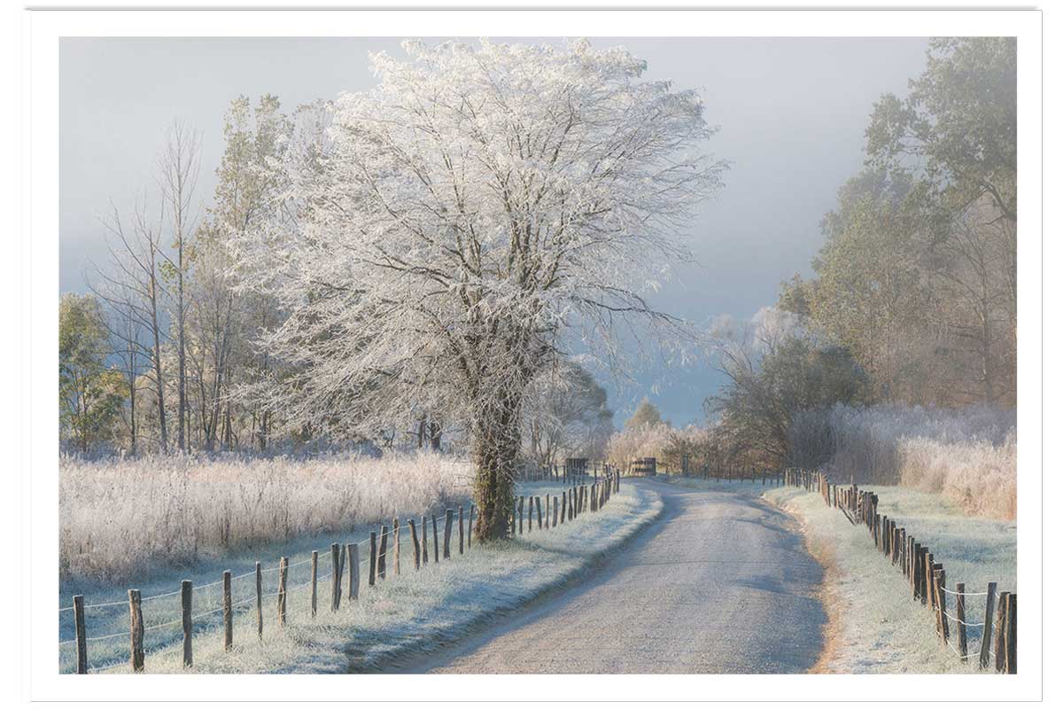Affiche paysage Un matin glacial, HEXOA