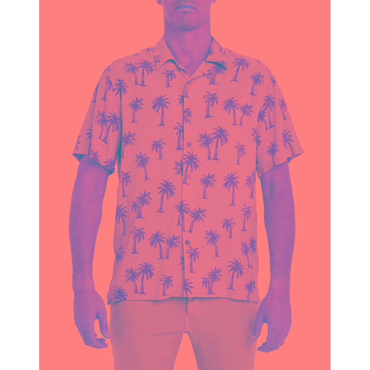 Chemise hawaienne homme online la redoute