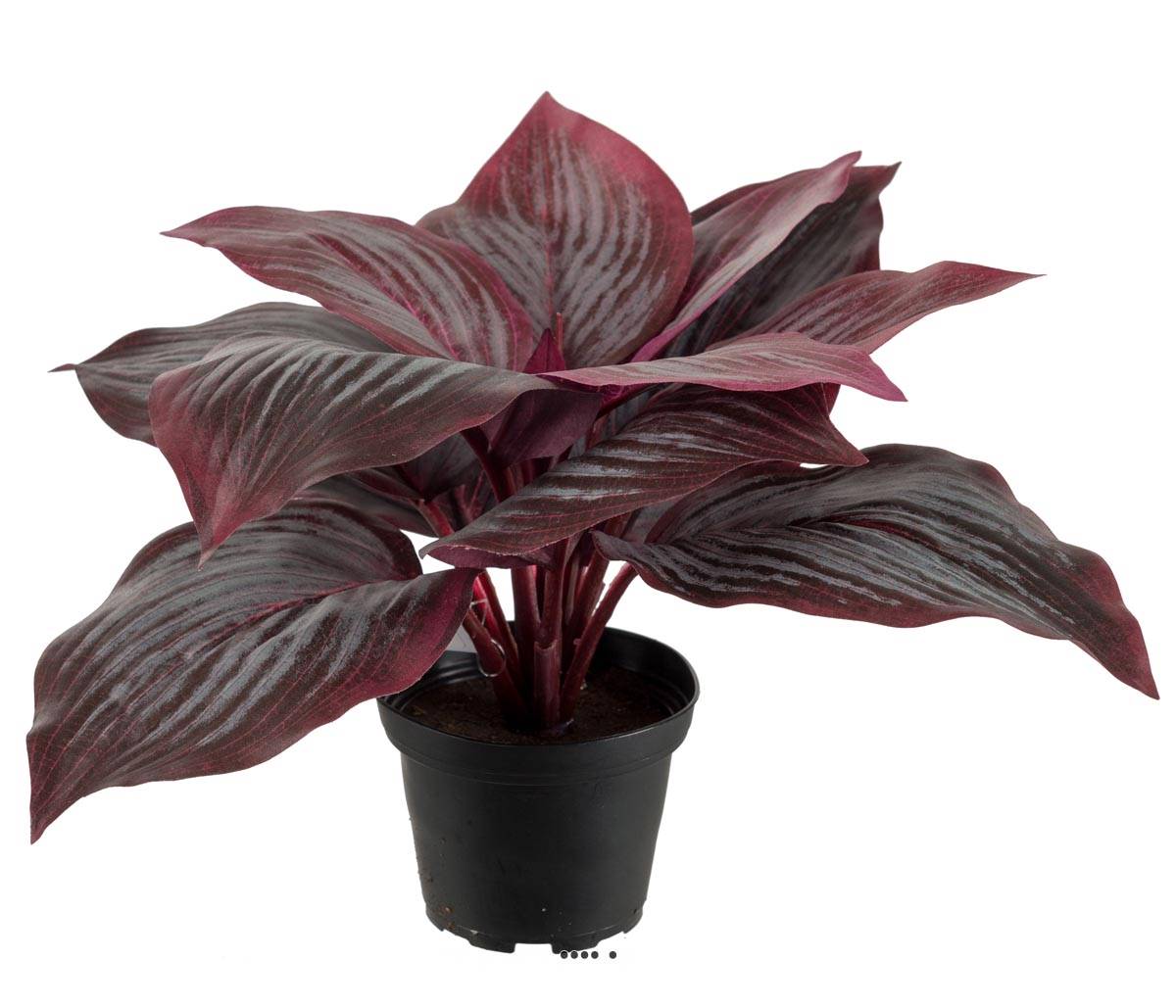 Hosta artificiel en pot H 20 cm D 30 cm Large, ARTIFICIELLES