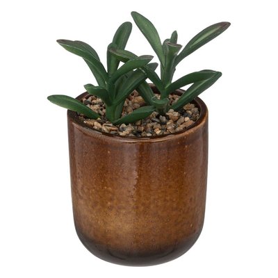 Plante artificielle - pot en céramique - H16 cm ATMOSPHERA