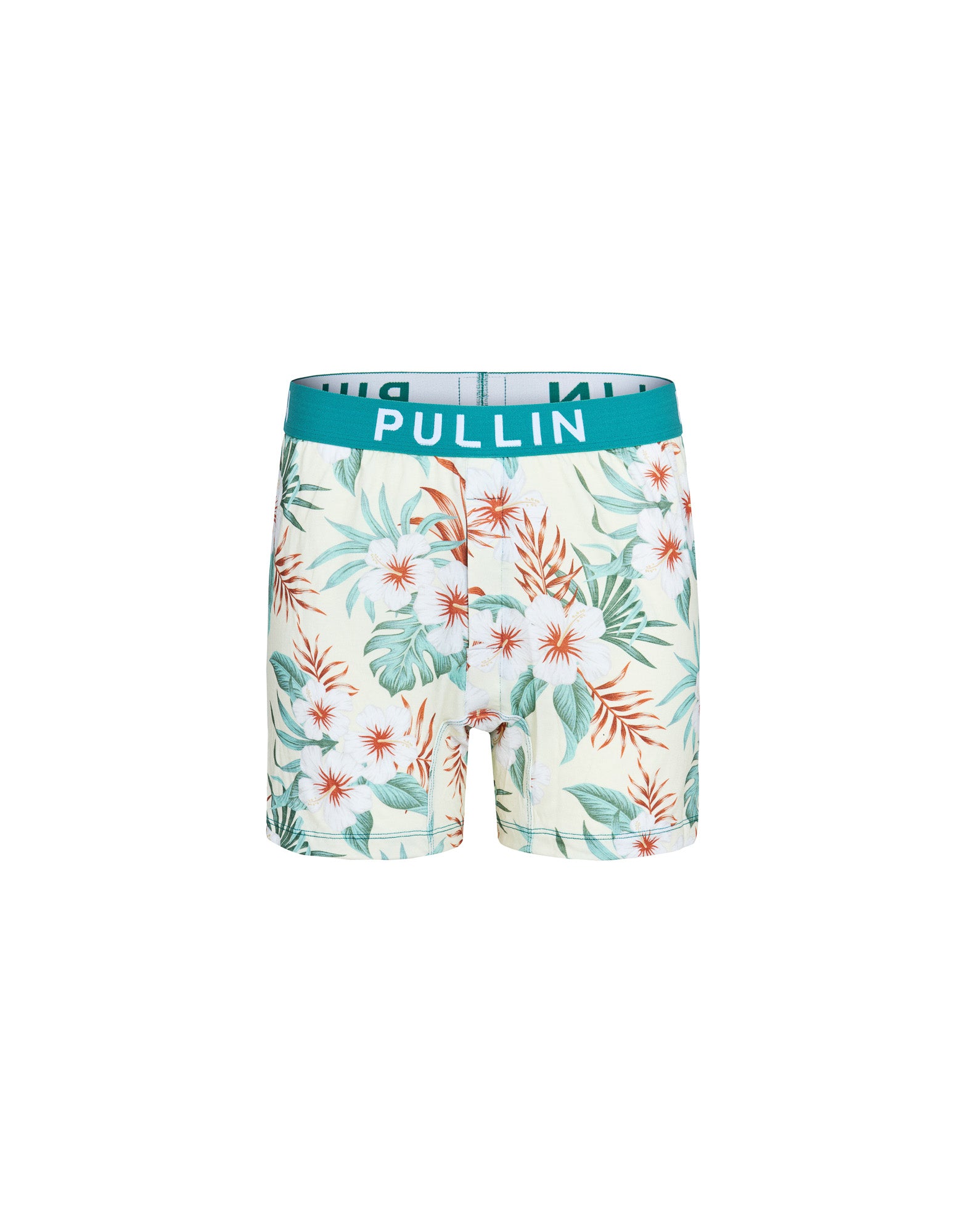 CALECON AMPLE VENICH, PULLIN