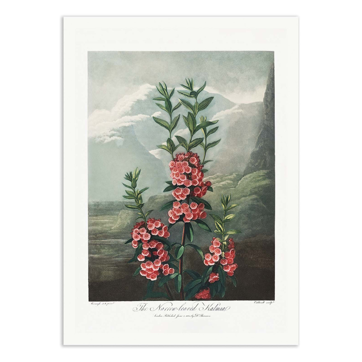 Affiche d'art - The Narrowa - Robert John Thornton, WALL EDITIONS