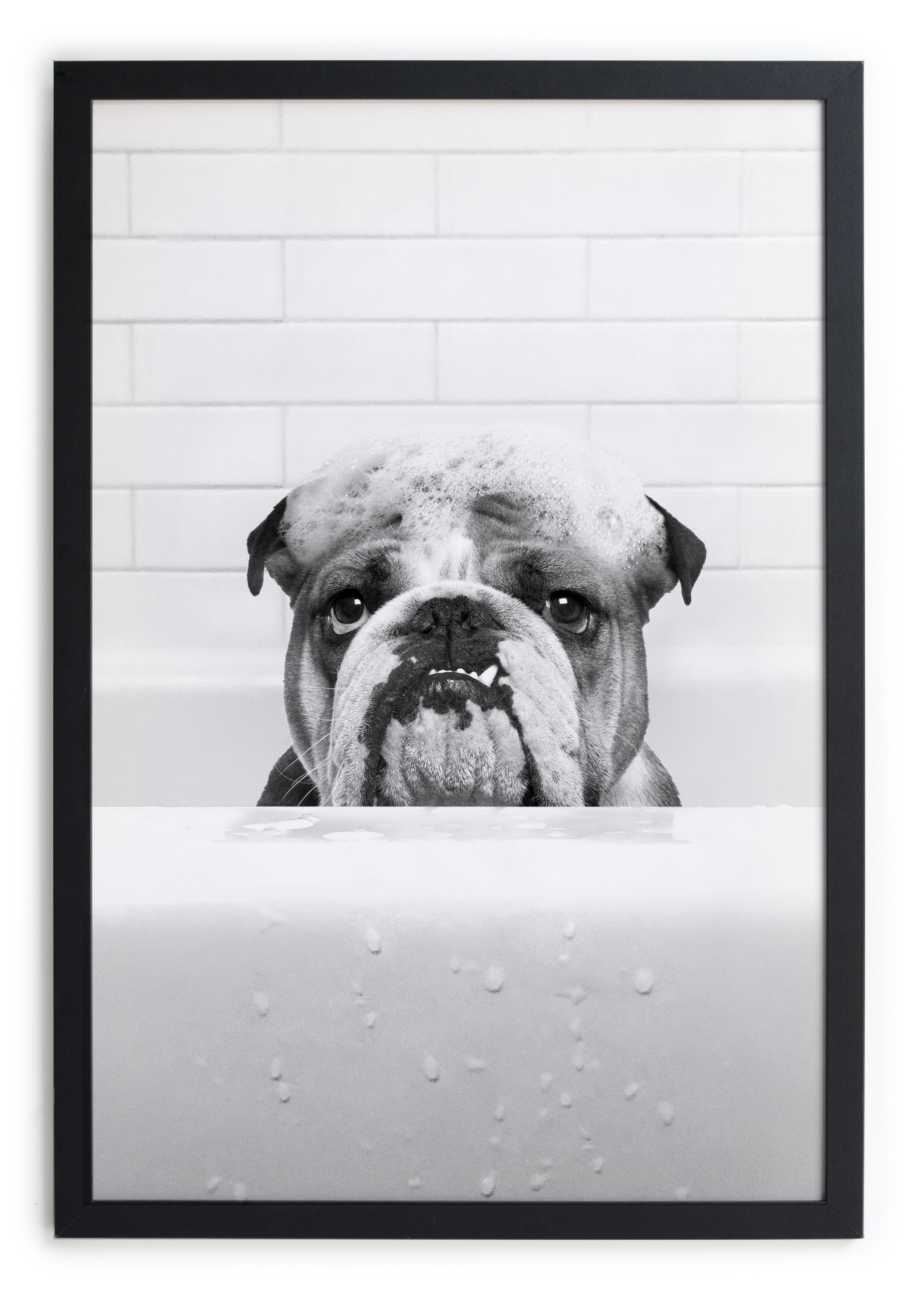 Tableau avec cadre Bouledogue dans la baignoire, REALLY NICE THINGS
