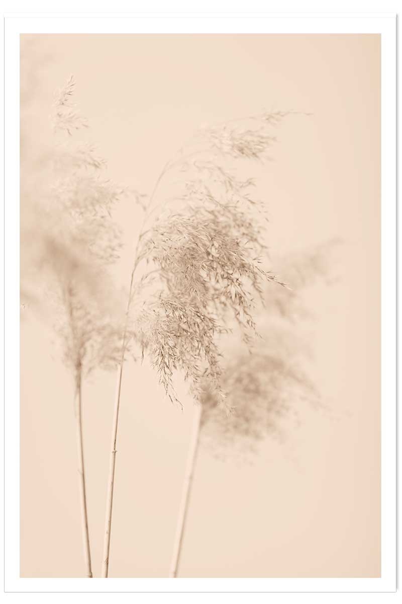 Affiche des champs sauvages, HEXOA
