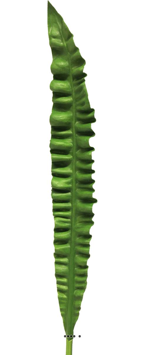 Feuille d'Asplenium artificielle,, ARTIFICIELLES