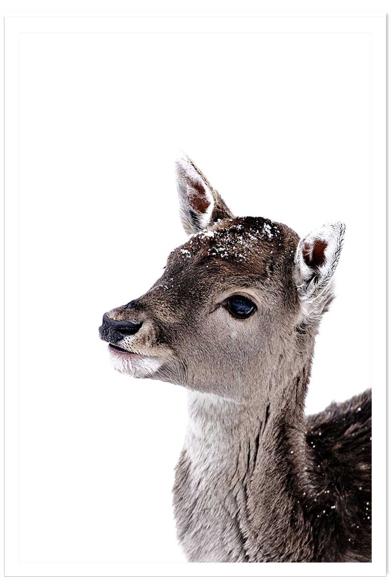 Affiche enfant faon sous la neige, HEXOA