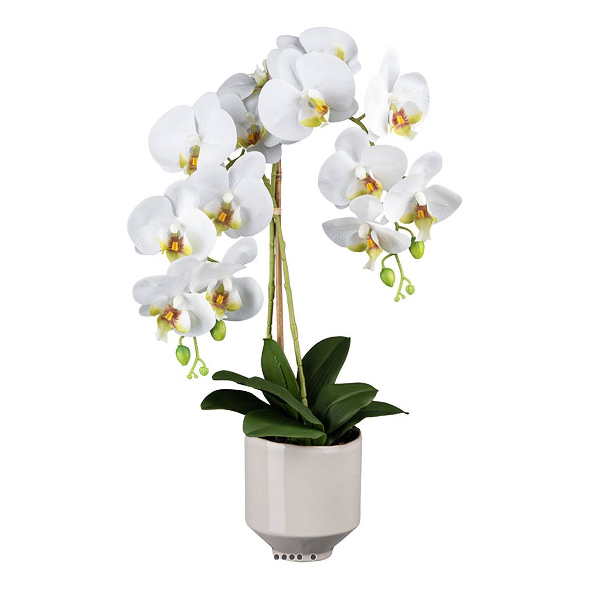 Orchidée phalenopsis artificielle en pot, ARTIFICIELLES