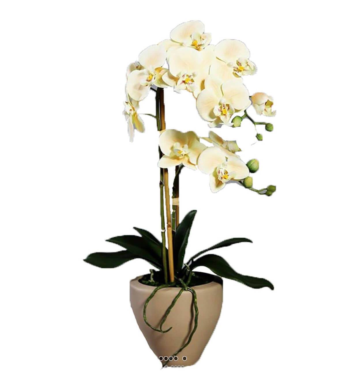 Orchidee factice 2 hampes pot Ceramique H57c, ARTIFICIELLES