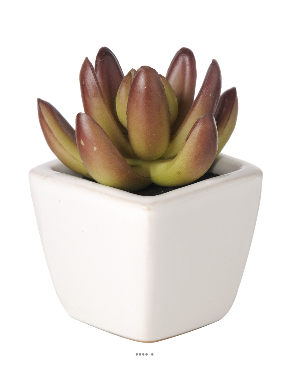 Agave Plante grasse artificielle succulente, ARTIFICIELLES