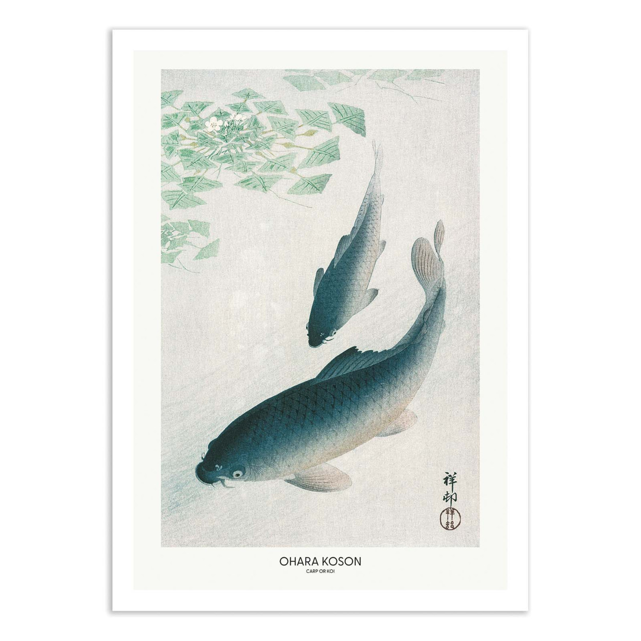 Affiche d'art - Carp Or Koi - Pictufy, WALL EDITIONS