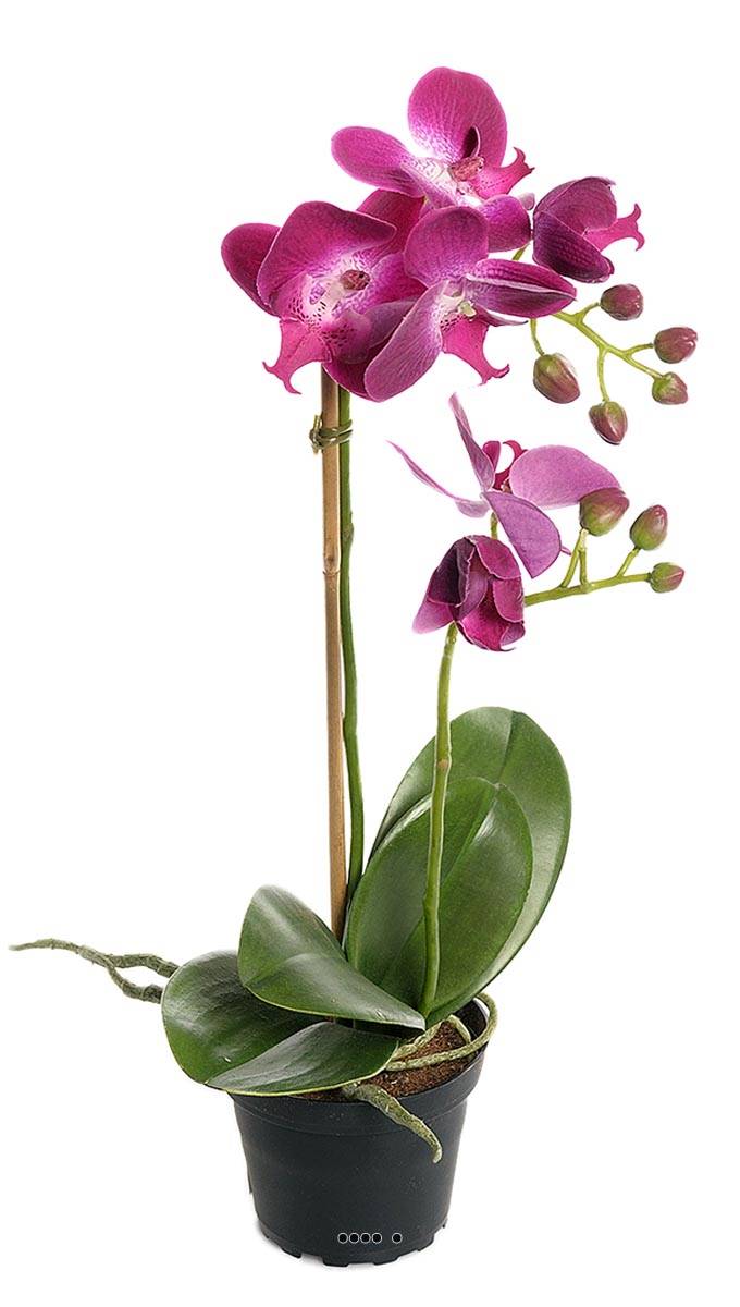 Orchidee artificielle 2 hampes en pot H 40 cm, ARTIFICIELLES