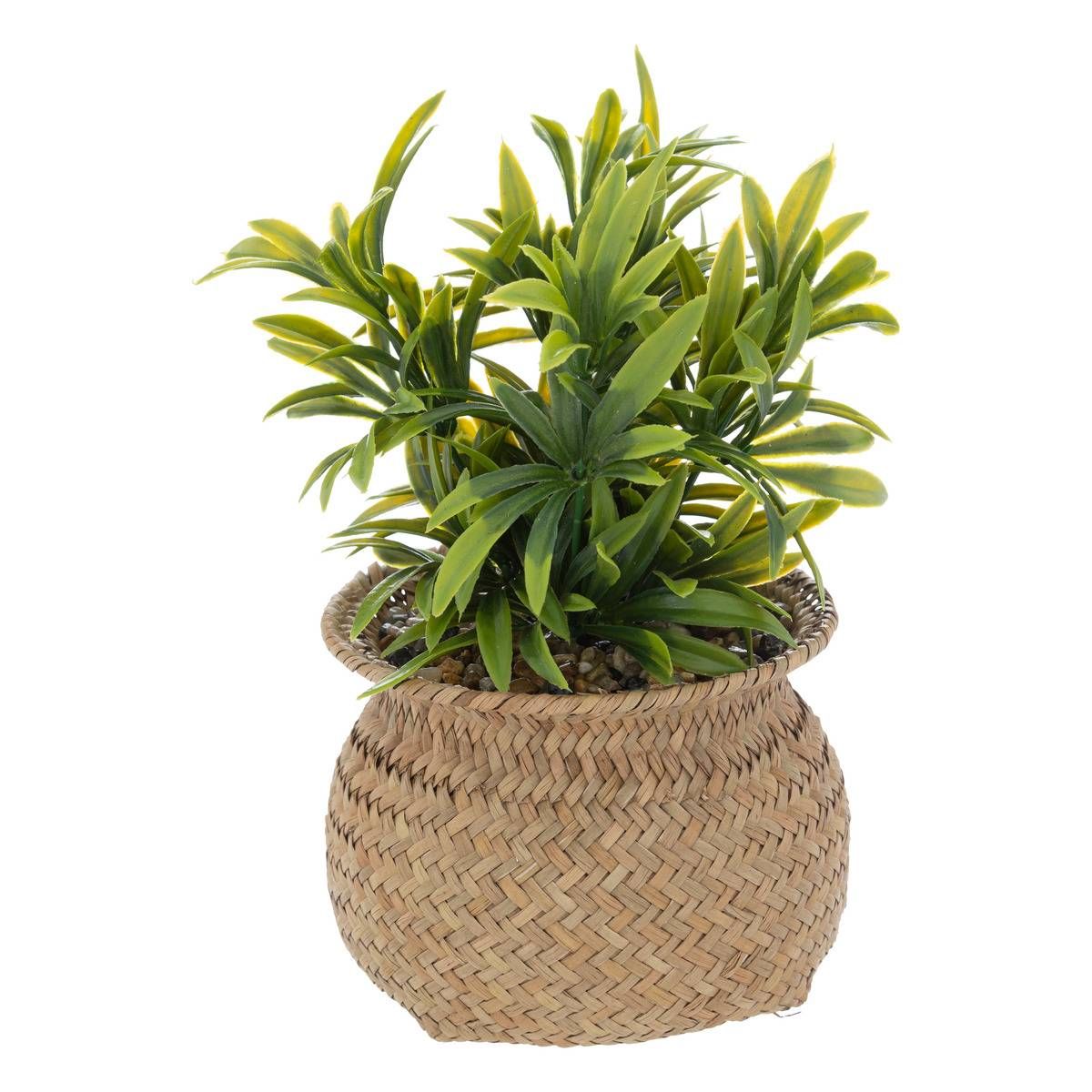 Plante artificielle Couleur beige Atmosphera La Redoute