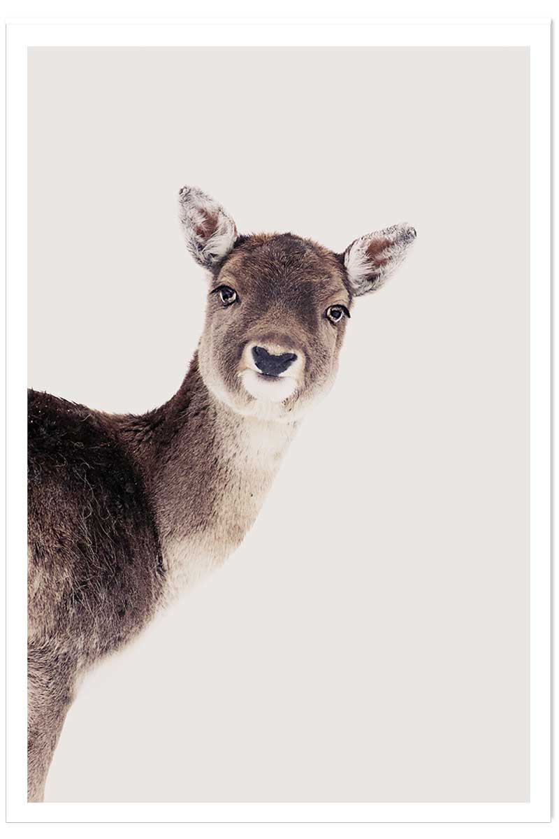 Affiche enfant biche, HEXOA