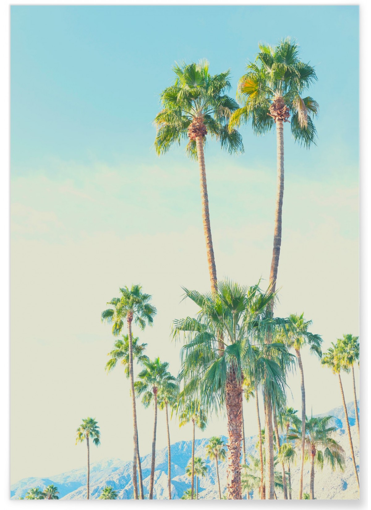 Poster Nature Tropicale 4, L'AFFICHERIE