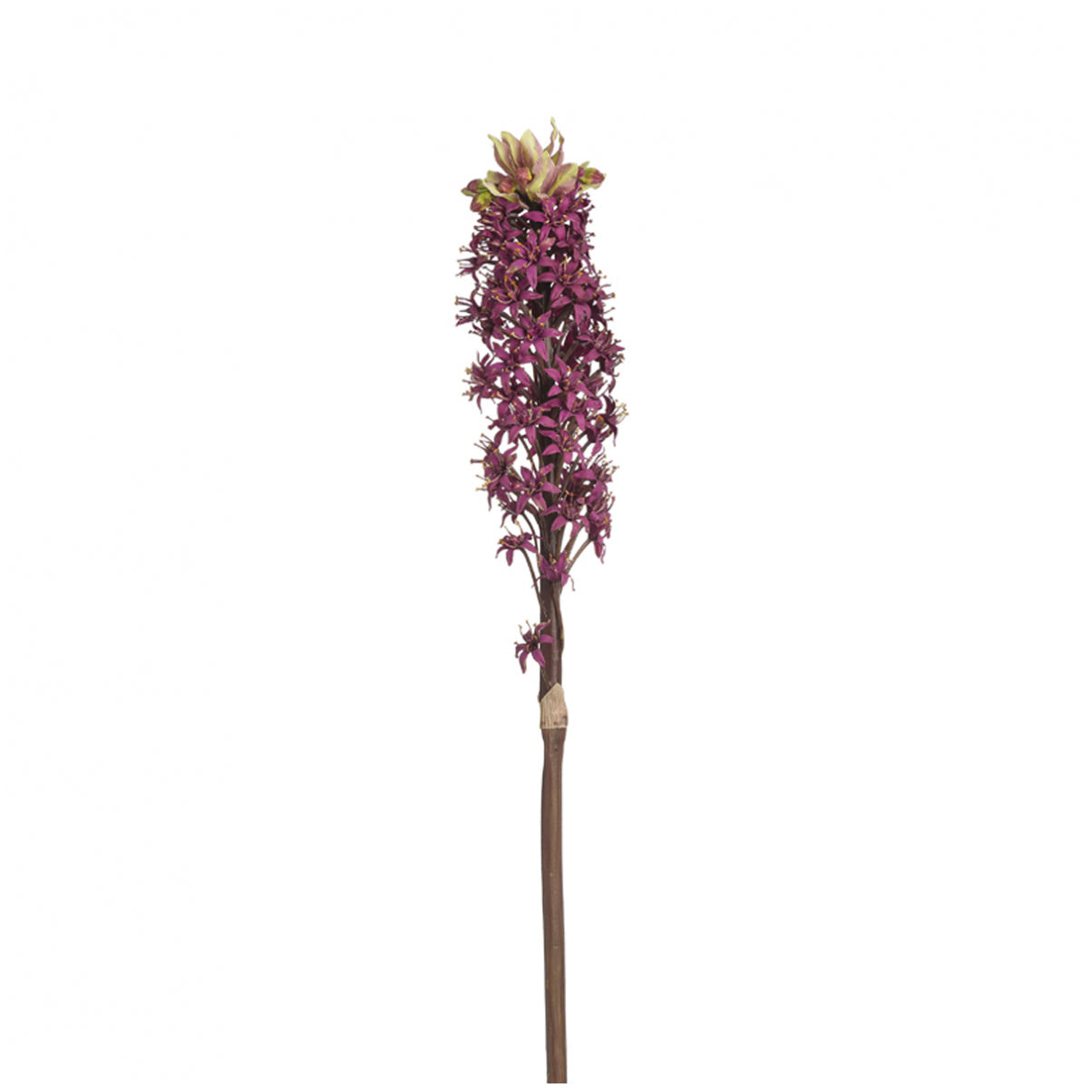 Tige de lis artificielle H90, SIA DECO