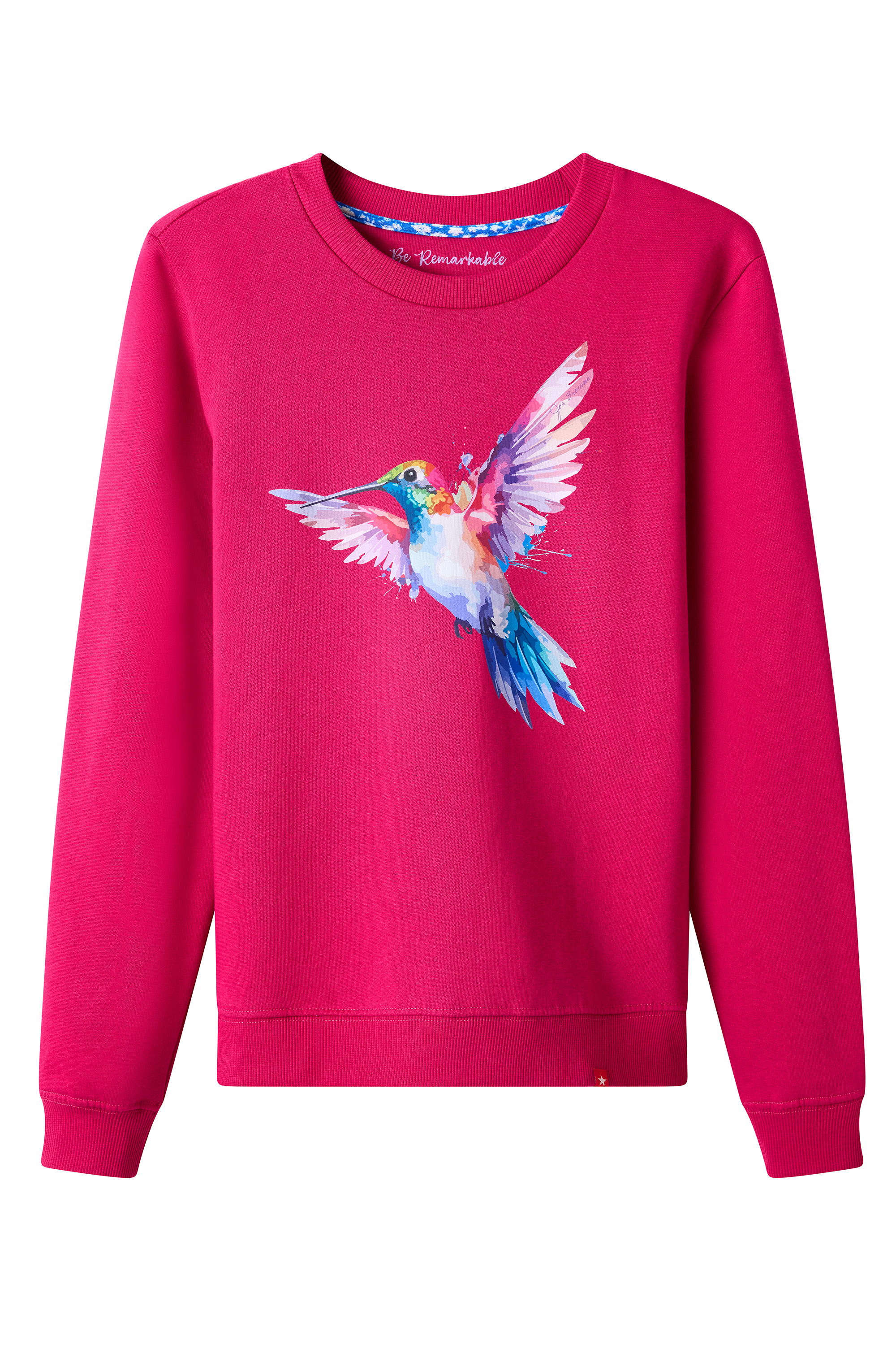 Sweat-shirt à motif colibri, JOE BROWNS