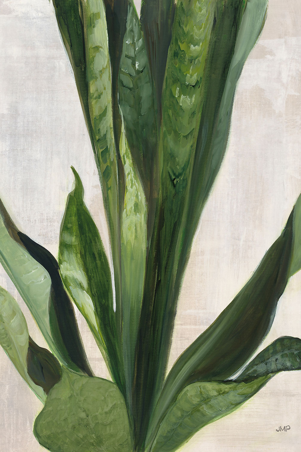 Tableau Sanseveria aquarelle, HEXOA