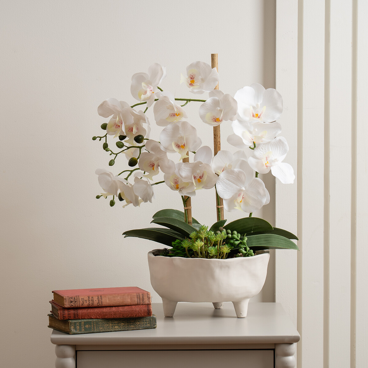 50cm Orchid in Footed Cement pot, SO'HOME