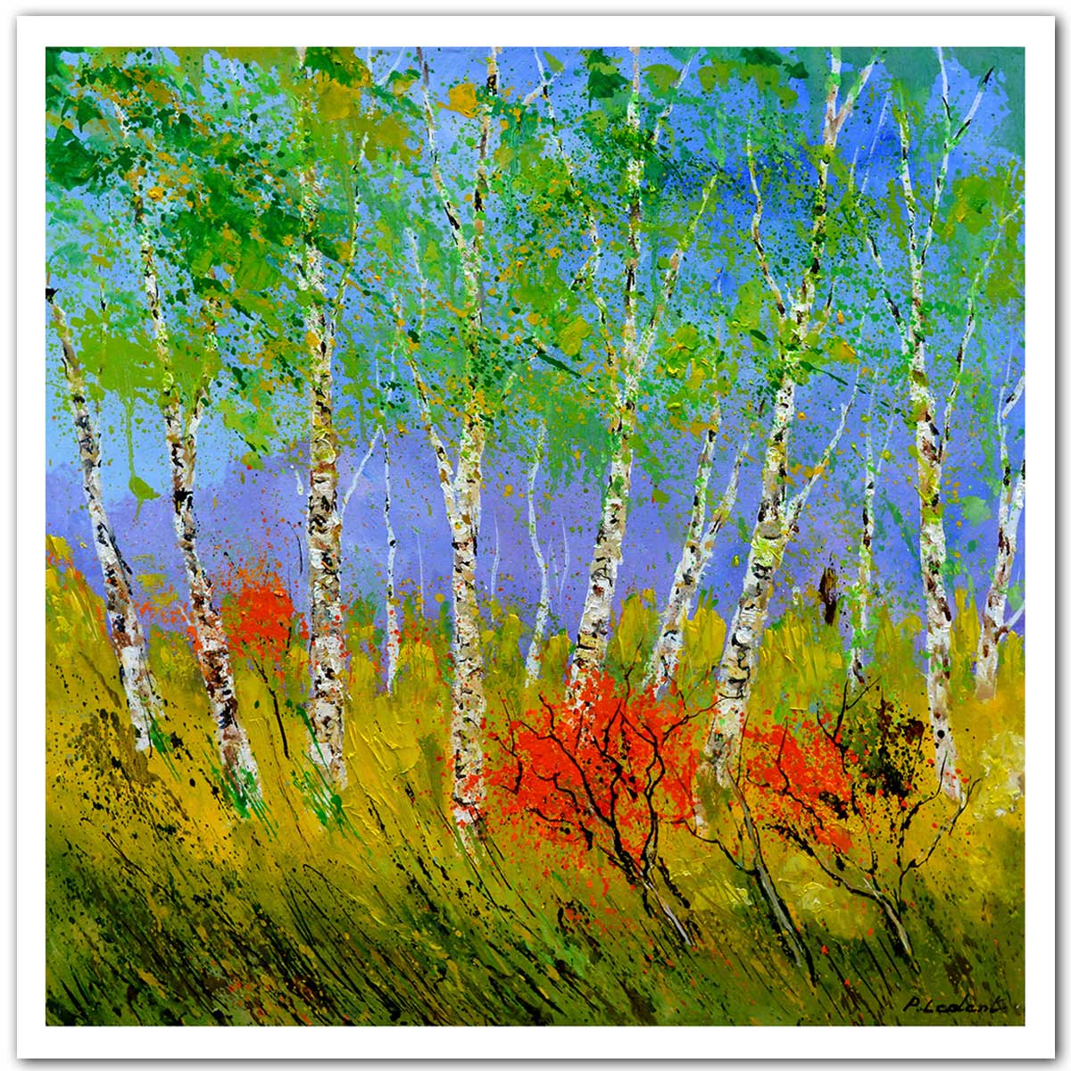 Affiche  bouleaux et coquelicots, HEXOA
