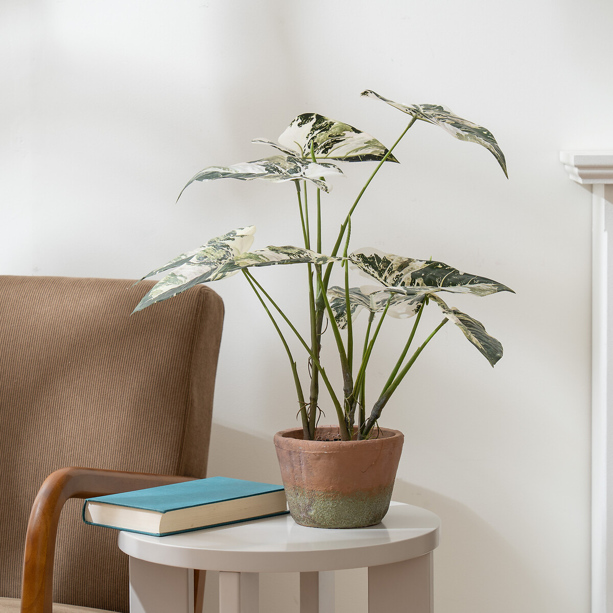 59cm Artificial Alocasia Plant, SO'HOME