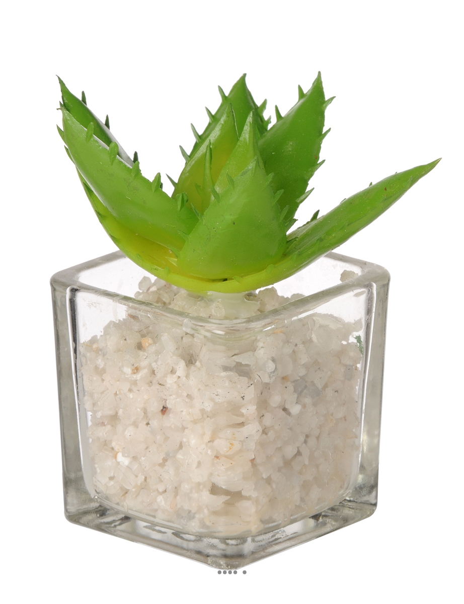 Agave artificielle succulente cactée en pot, ARTIFICIELLES