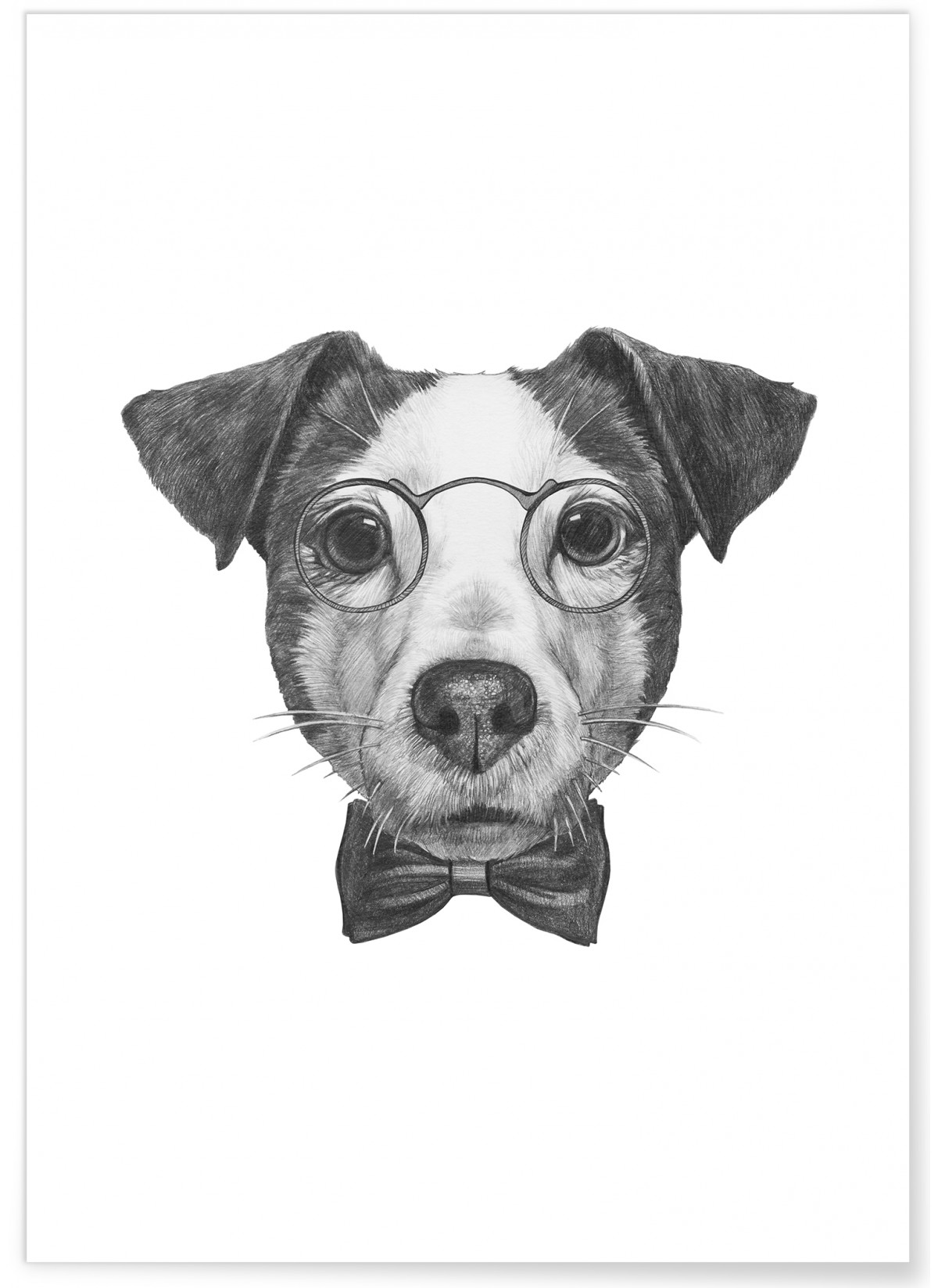 Poster Jack Russell, L'AFFICHERIE