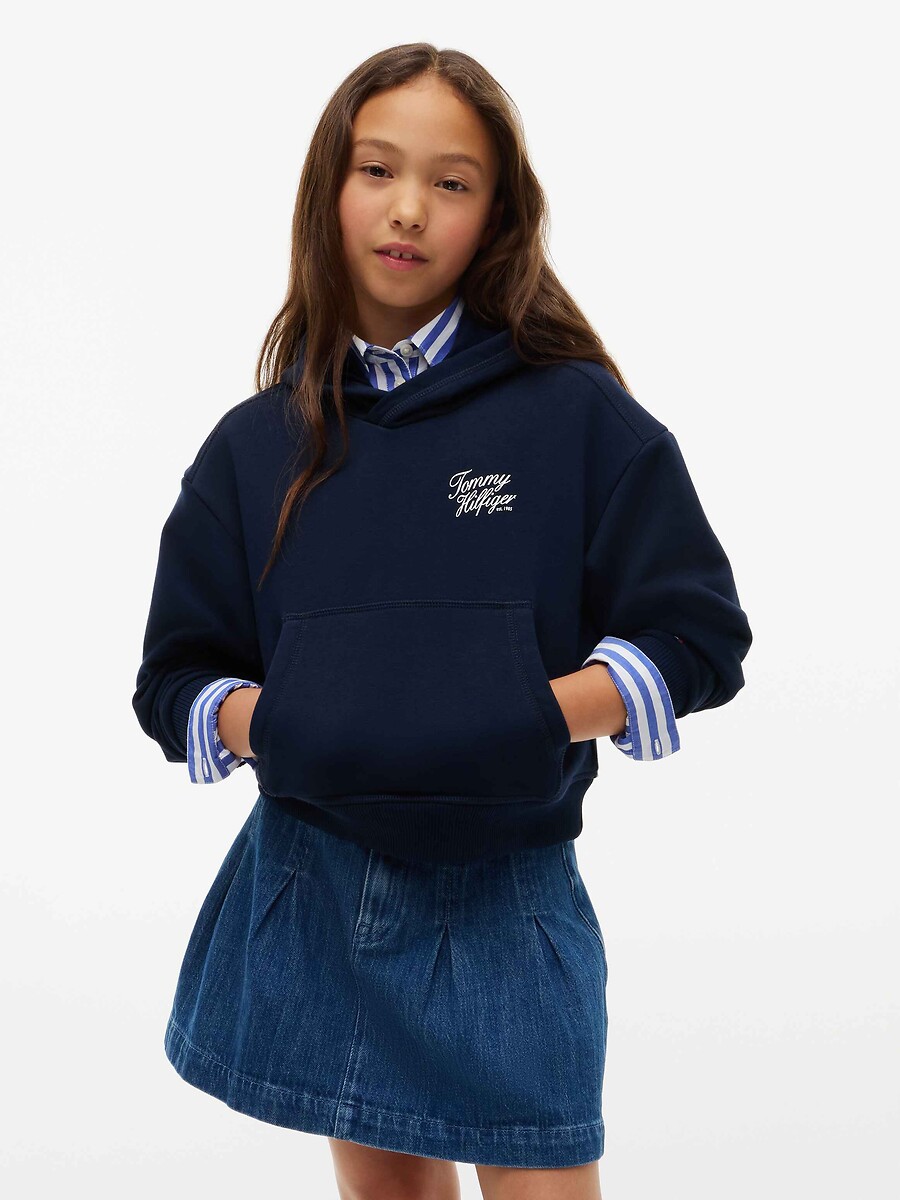 Hoodie, TOMMY HILFIGER