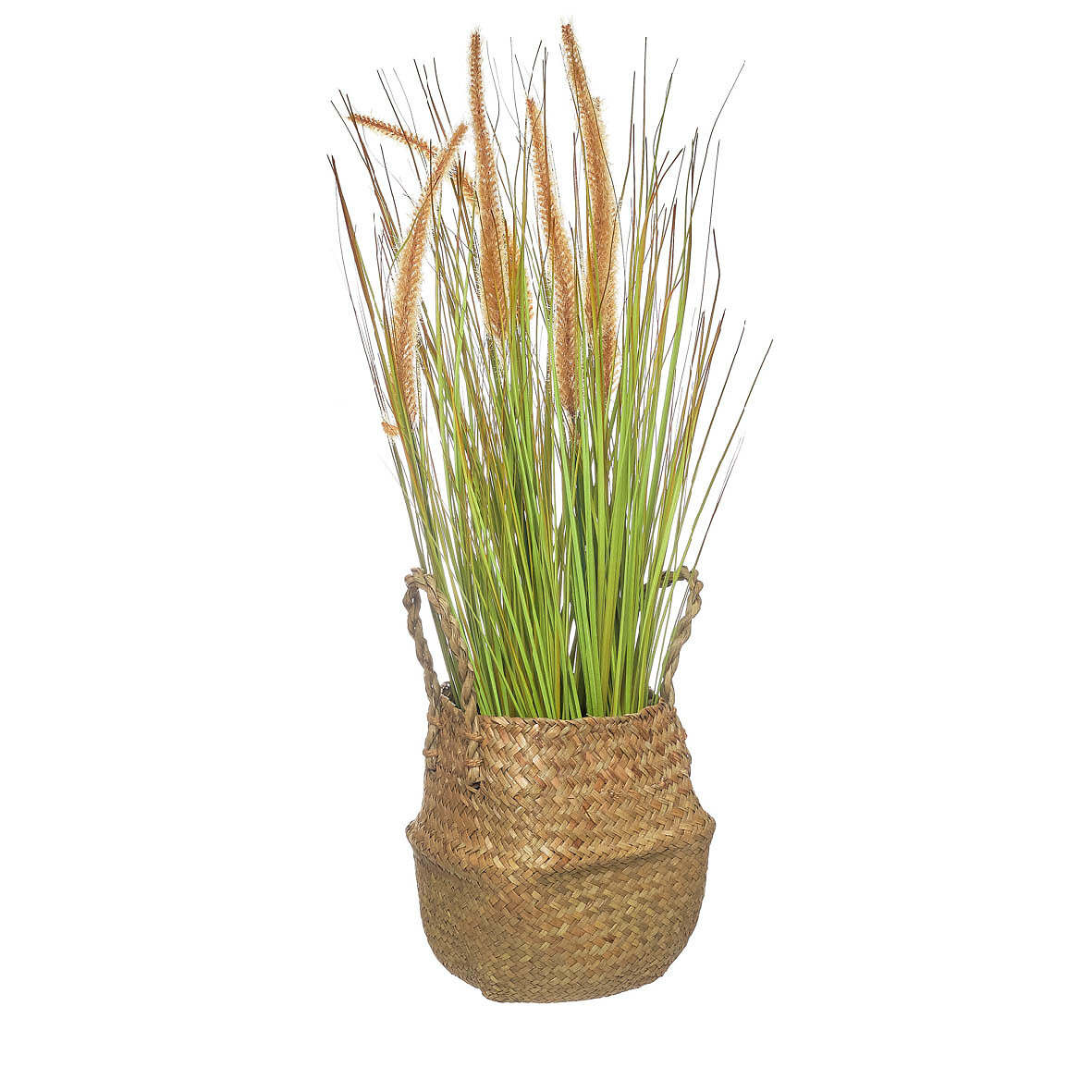 Planta artificial em cesto, BORGHESI, BORGHESI