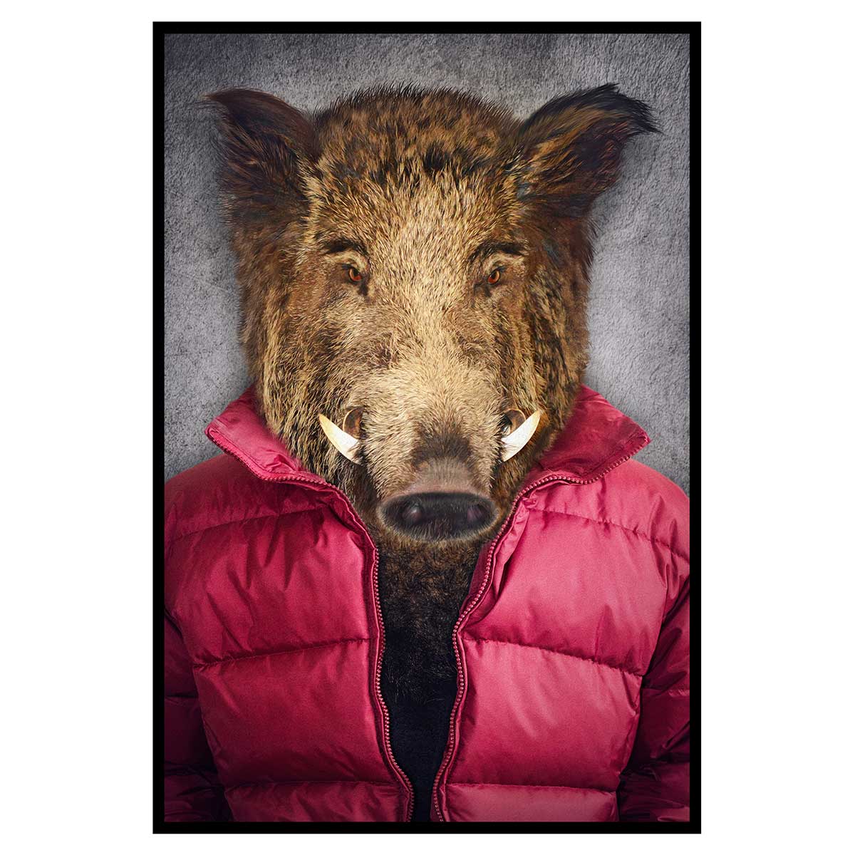 Affiche encadrée sanglier stylé en doudoune, HEXOA