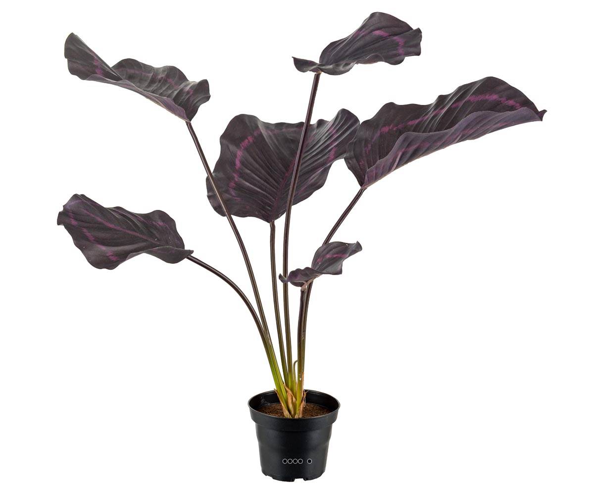 Calathea artificielle en pot, grandes feuill, ARTIFICIELLES