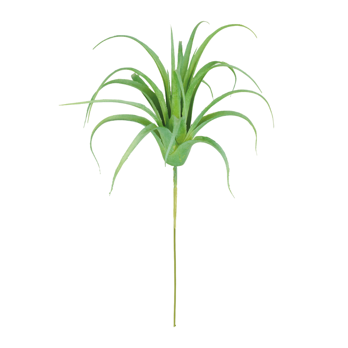 Tige de tillsandia artificielle H20, SIA DECO
