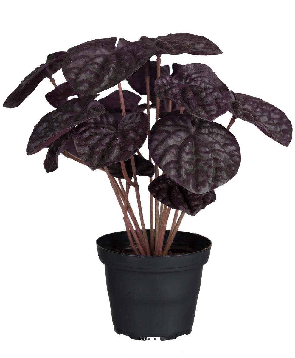 Peperomia fausse plante en pot lesté H20cm, ARTIFICIELLES