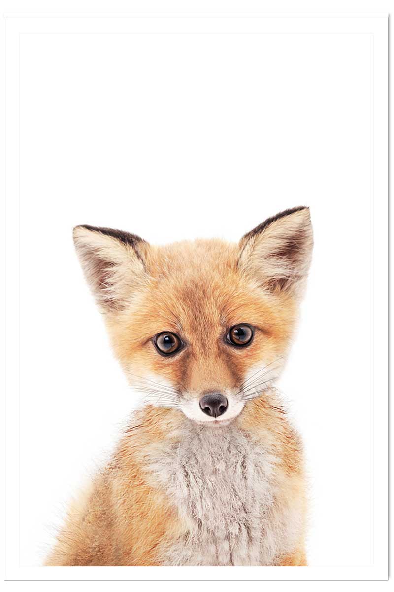Affiche enfant bébé fox, HEXOA