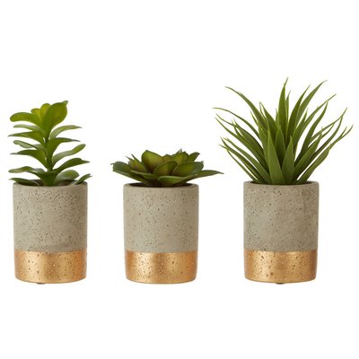 Set of 3 Succulents in Grey & Gold Ceramic Pot SO'HOME