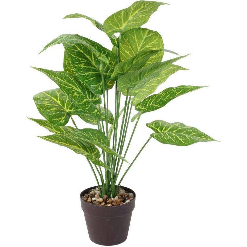 Plante artificielle Calathea en pot, 55 cm