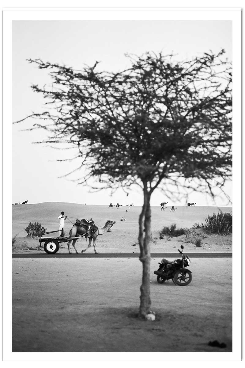 Poster photo paysage ""jaisalmer, rajasthan"", HEXOA