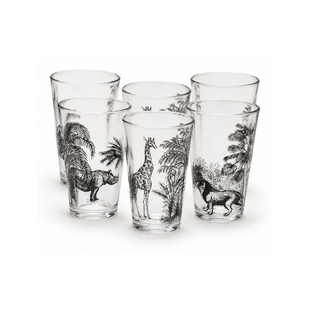 Lot de 6 verres, SAVANA, ARTIME