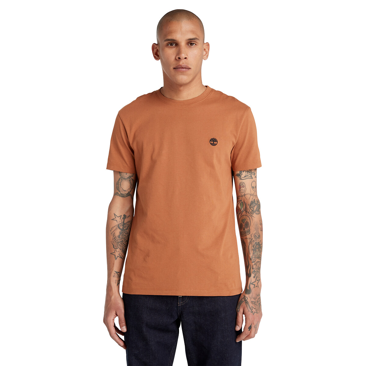 Dunstan river cotton t shirt in slim fit with crew neck brown