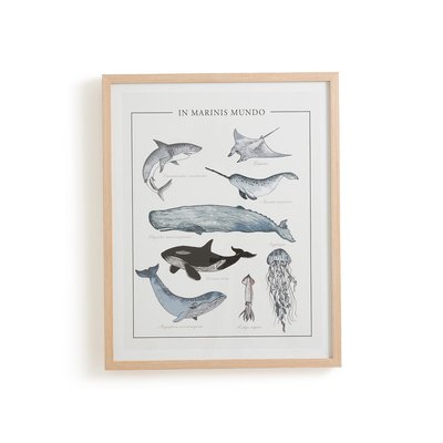 Affiche encadrée, animaux marins, Baleia AM.PM