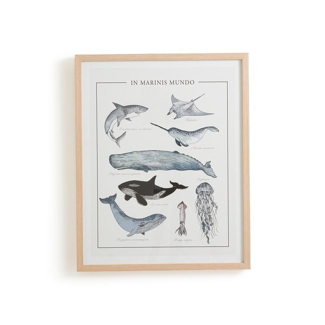 Affiche encadrée, animaux marins, Baleia Couleur naturel/bleu <span itemprop=