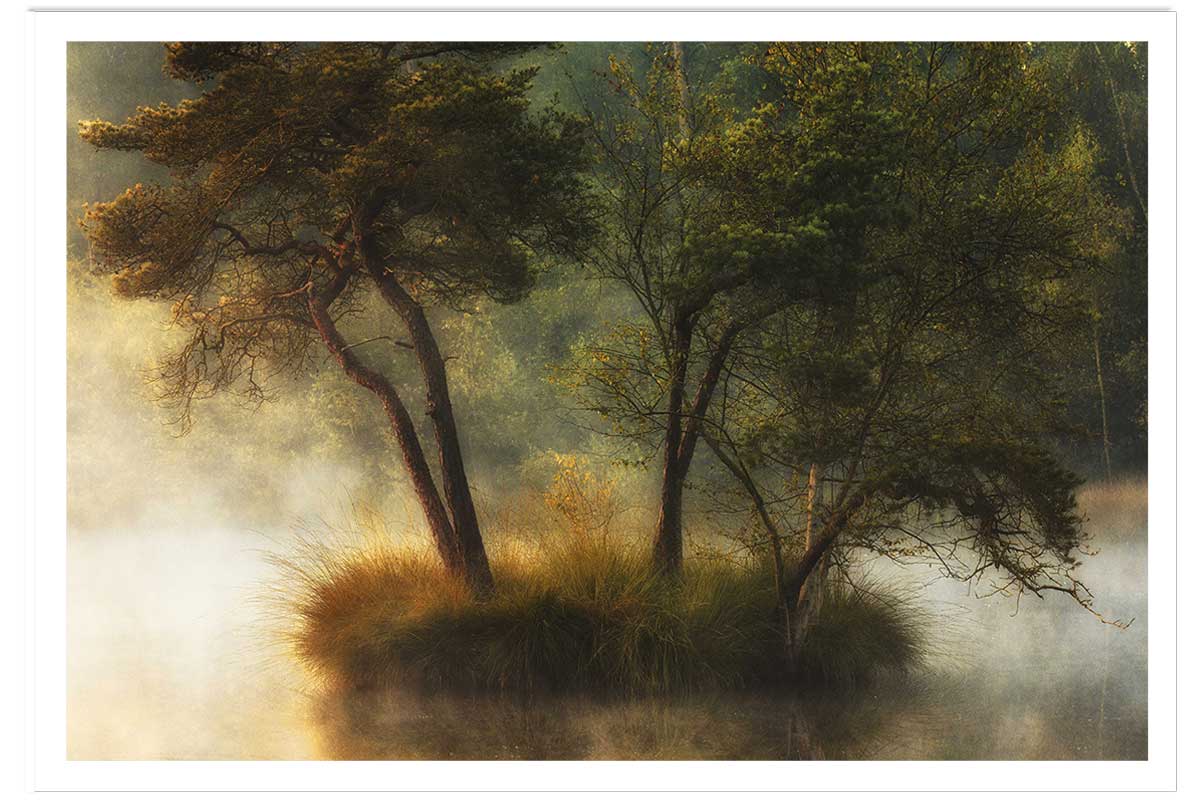 Affiche Ilôt et lac en automne, HEXOA